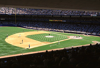 NYY Seat View